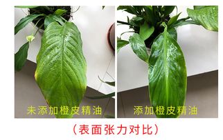 農用天然植物橙皮精油助劑 突破有機硅強效滲透，賦能農藥飛防與葉面肥增效